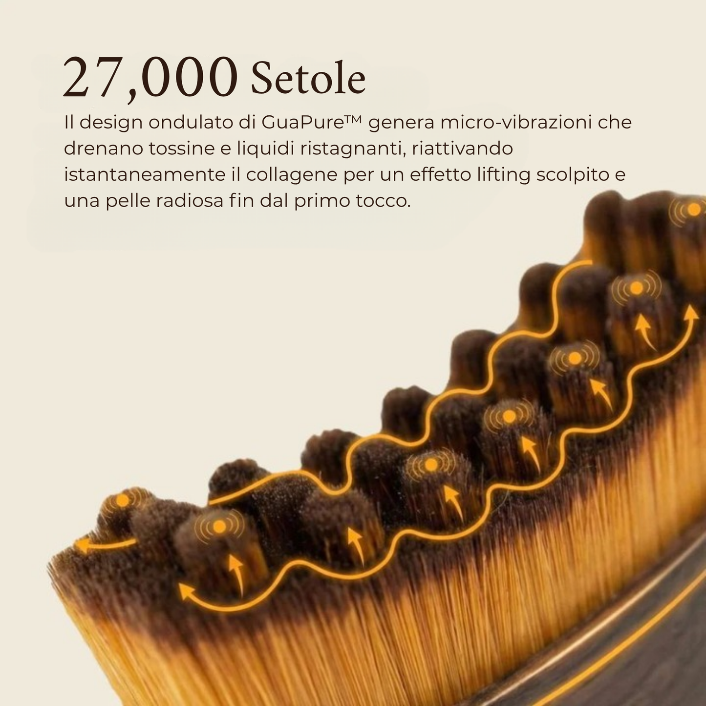 GuaPure™ Sculpter Linfatico